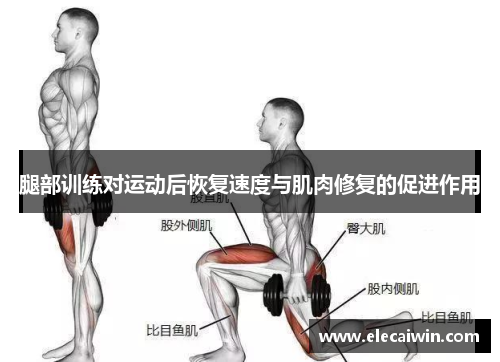 腿部训练对运动后恢复速度与肌肉修复的促进作用