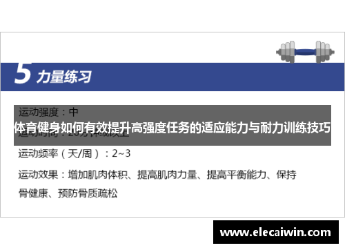 体育健身如何有效提升高强度任务的适应能力与耐力训练技巧