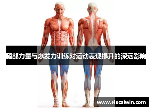 腿部力量与爆发力训练对运动表现提升的深远影响